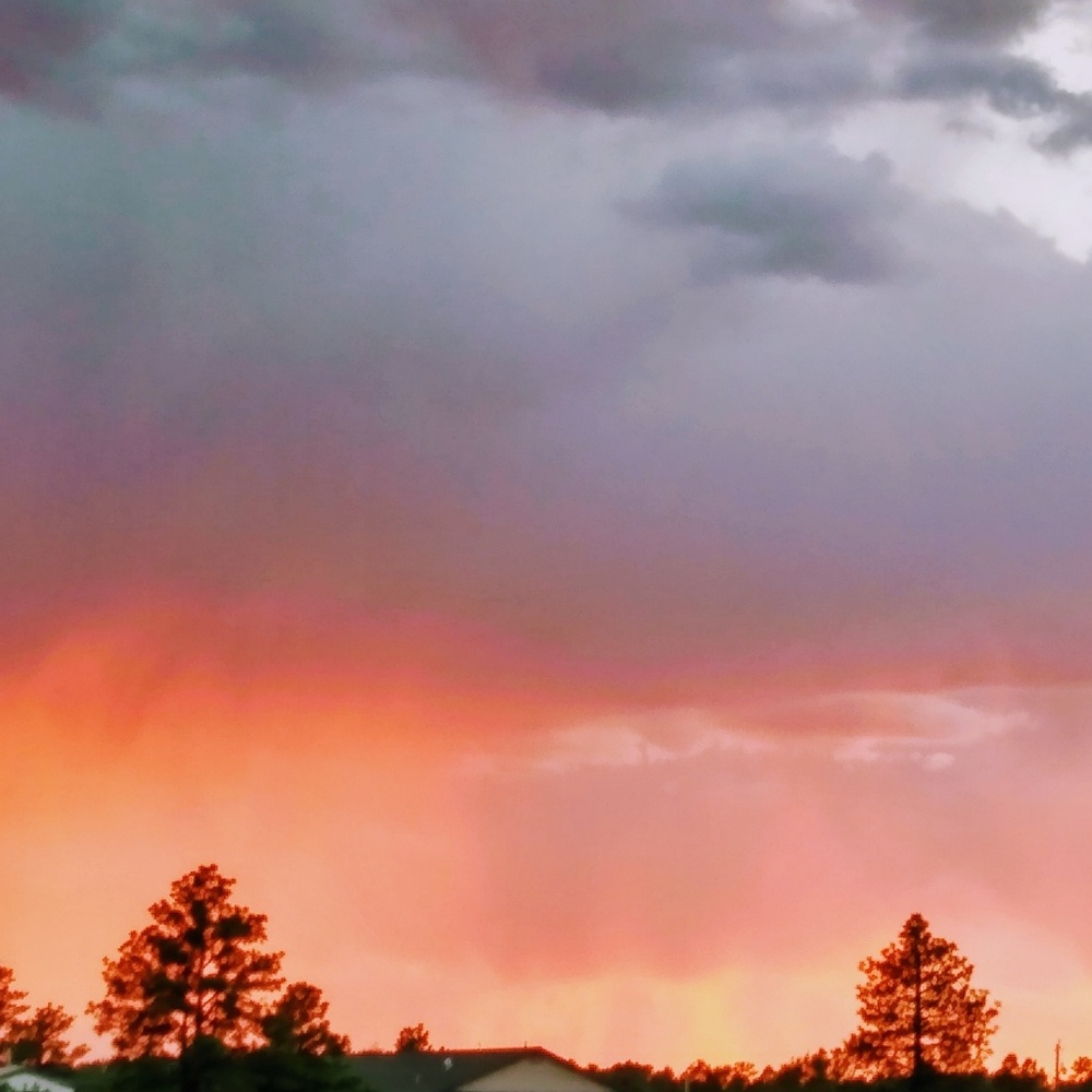 Meet your Posher, Betsy